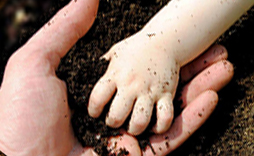 Biostimulant fertilizers for Soil Preparation